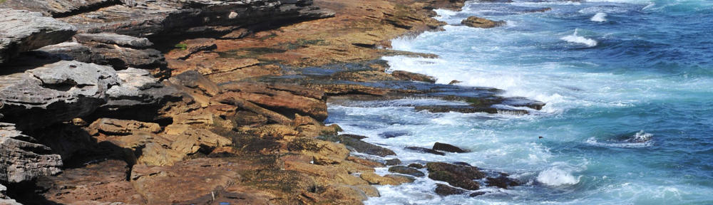 Tutor School